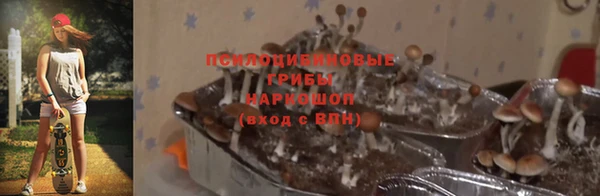 меф Алексин