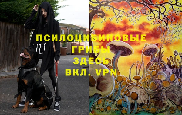 меф Алексин