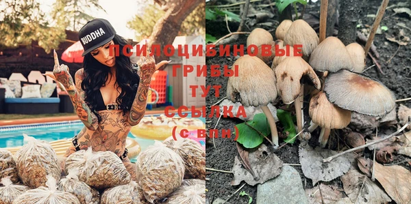 MDMA Premium VHQ Алзамай