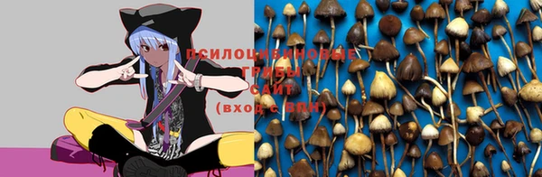 меф Алексин