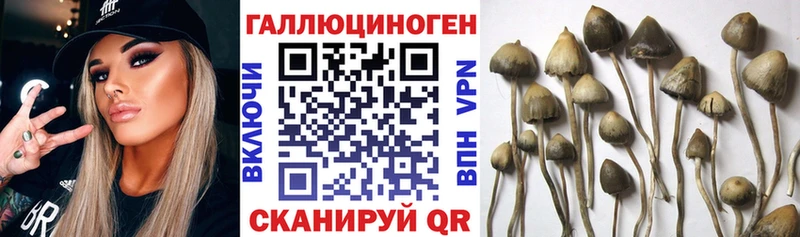 купить  сайты  Арск  Галлюциногенные грибы Magic Shrooms 